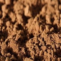 Cocoa-en-polvo-productos-derivados